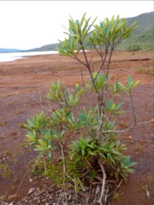 P1110118