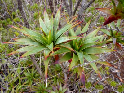 P1110116