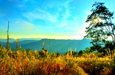One Afternoon