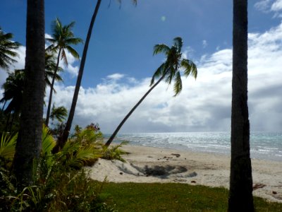 P1110722 - Copie