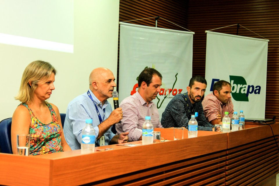 30.01.2019 - Prefeita Paula Mascarenhas durante coletiva de imprensa da 29ª Abertura Oficial da Colheita do Arroz - Foto: Gustavo Vara