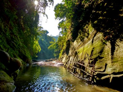 Invitation From Mother Nature