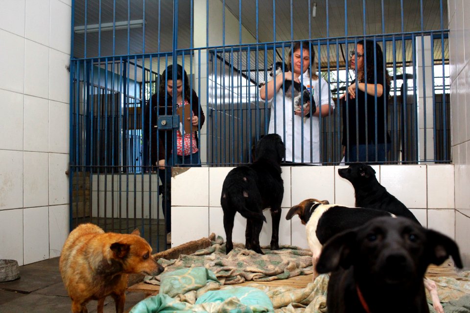 01.10.2018 - SMS - Especial Dia dos Animais - Foto Marcel Avila