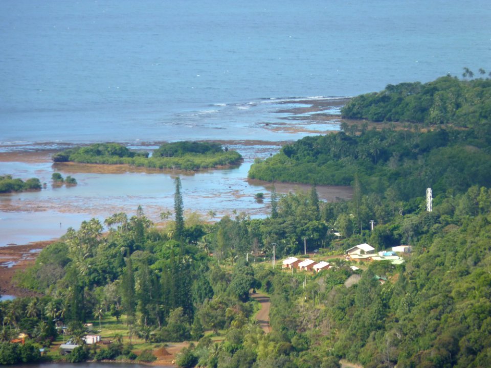 P1110136