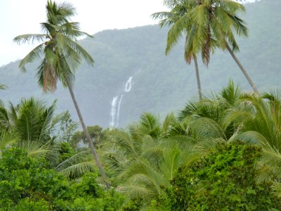P1110741