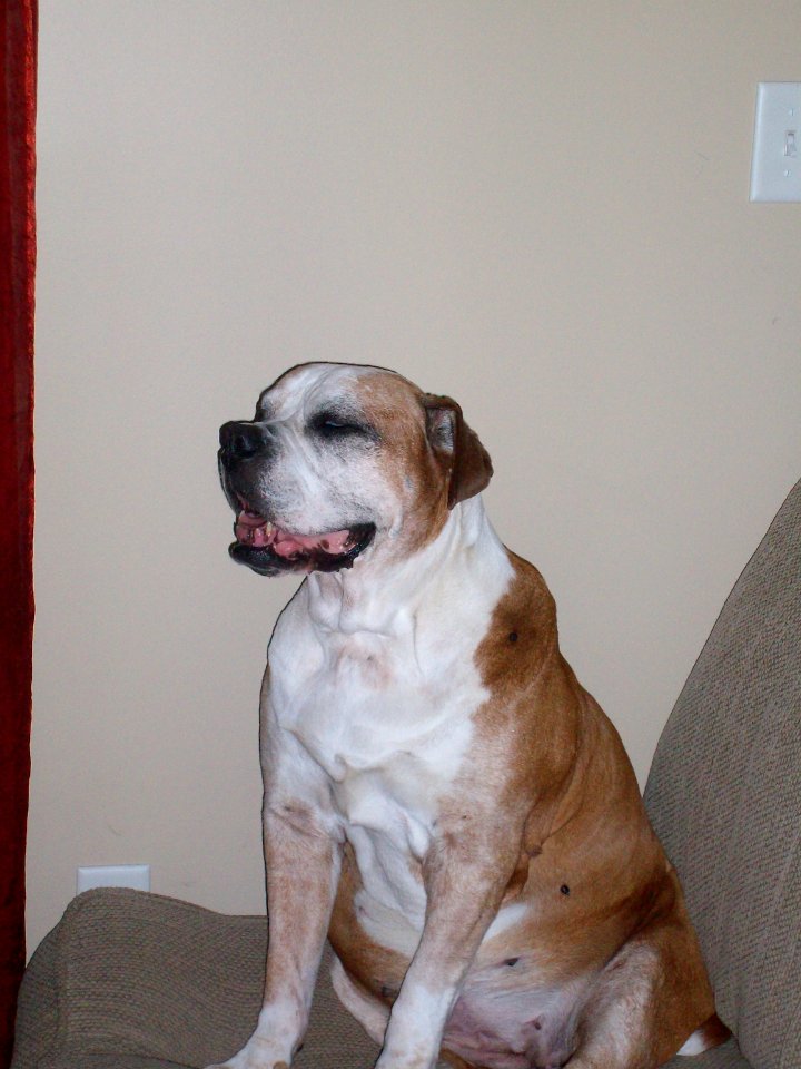 JuJu asleep sitting up