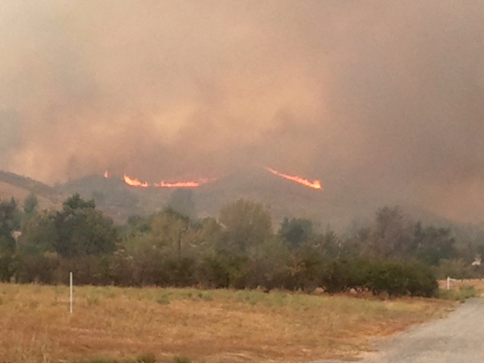 Bogart Park Fire 3