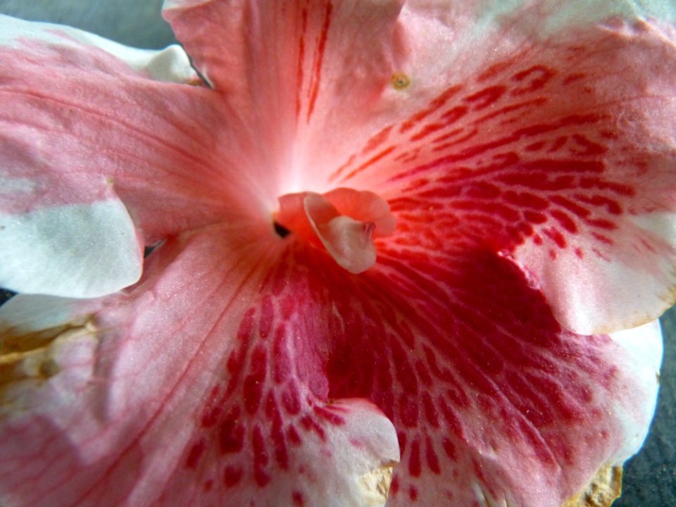 P1110620