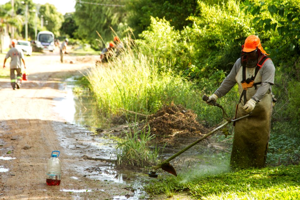 16.02.2019 - Trabalho de roçado na Praia do Laranjal - Foto: Gustavo Vara