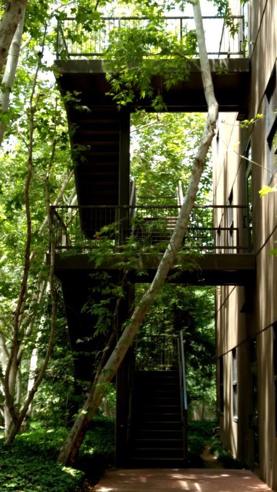 Commercial Outdoor Stairs 1