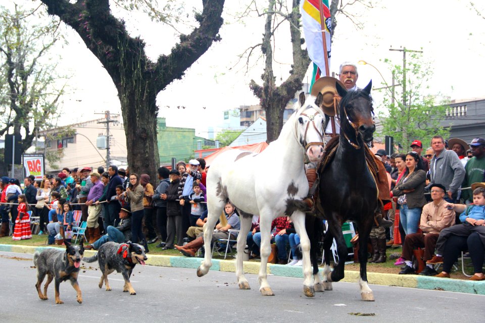 20.09.2018 - Gab Vice Prefeito - Desfile Farroupilha - Foto Marcel Avila