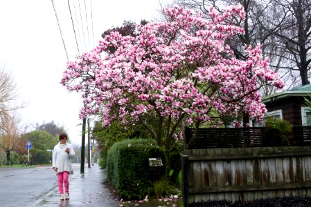 DSC08494-high-iso-1