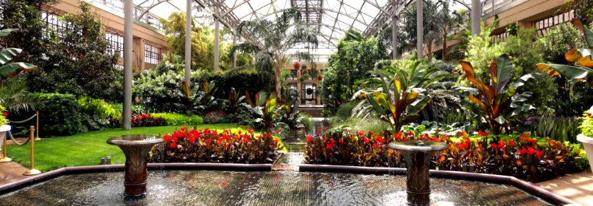 Longwood Greenhouse