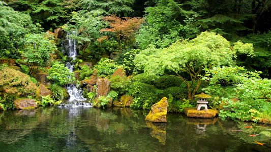 Portland Japanese Garden 5 photo