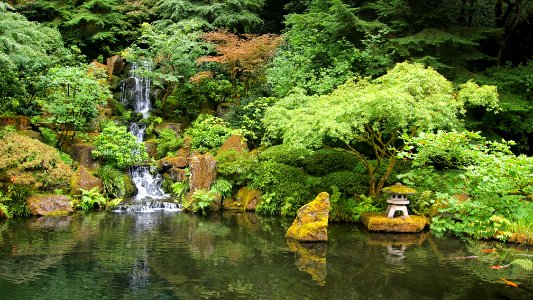 Portland Japanese Garden 5