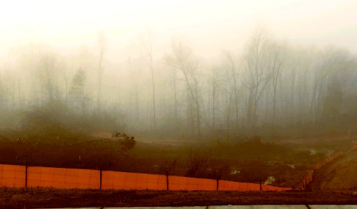 Desolation Memphis