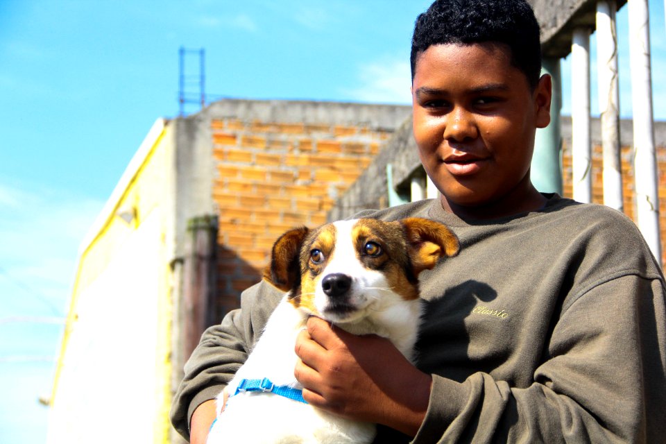 14.08.2018 - SMS - Doação de Cães - Fotos Marcel Avila