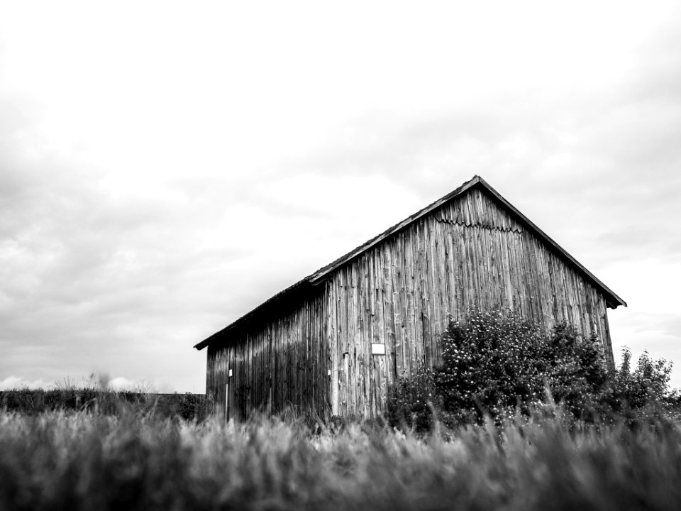 Countryside