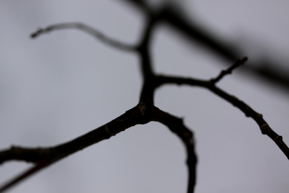 macro exercises