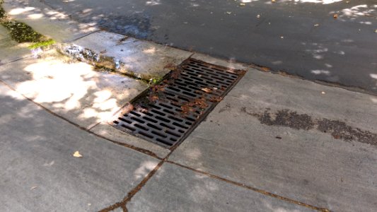 Storm Drain Grate 1 photo