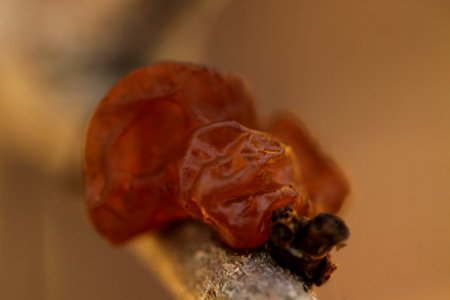 macro exercises