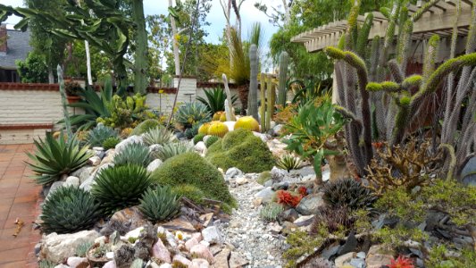 Sherman Library Gardens in Newport Beach