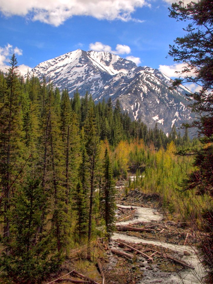 Sacajawea Peak