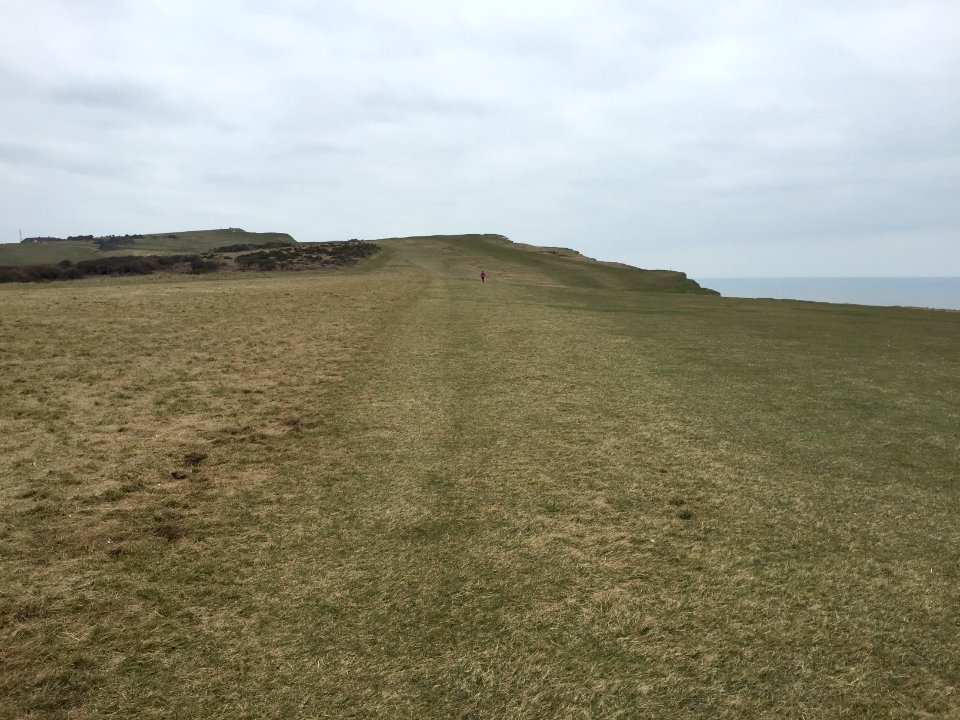Dover Cliffs meadow