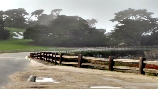 Monterey 17-Mile Drive 2016 photo