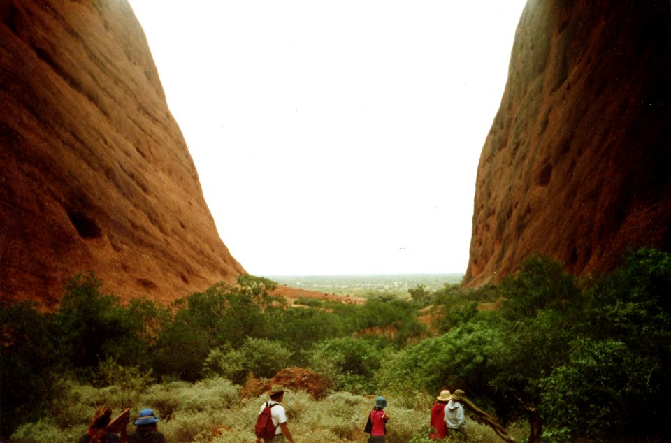 The Outback from Inside the Olgas