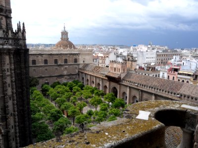 Courtyard of the Orange Trees photo