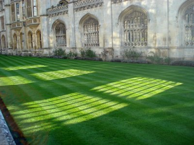 Exquisitely Green Grass at Cambridge