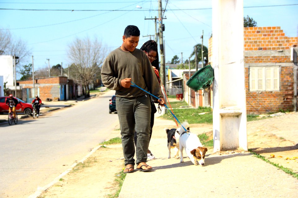 14.08.2018 - SMS - Doação de Cães - Fotos Marcel Avila