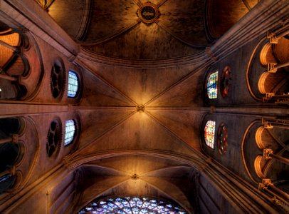 Notre Dame Cathedral Ceiling