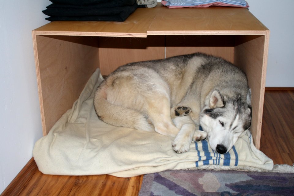 Husky