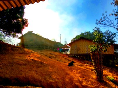 Taking Bath In The Energizing Sunshine