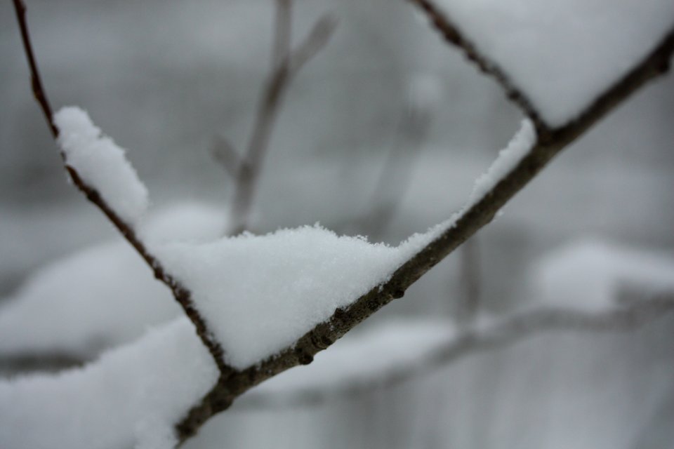 IMG 4176