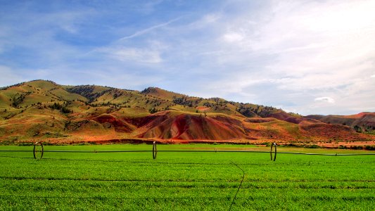 Green Fields by the Painted Hills