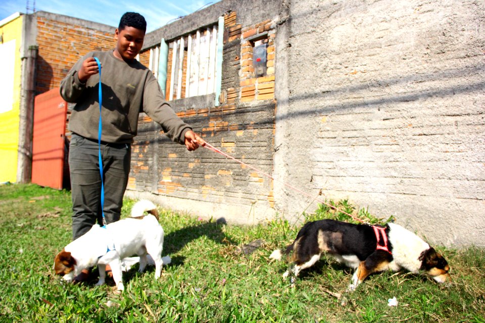 14.08.2018 - SMS - Doação de Cães - Fotos Marcel Avila