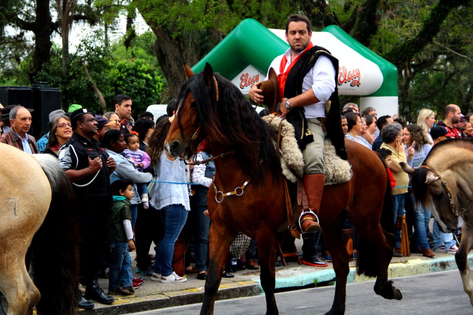 20.09.2018 - Gab Vice Prefeito - Desfile Farroupilha - Foto Marcel Avila