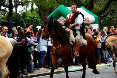20.09.2018 - Gab Vice Prefeito - Desfile Farroupilha - Foto Marcel Avila