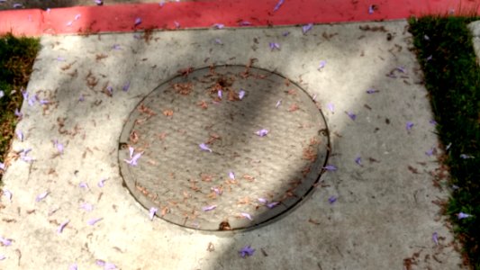Sewer Manhole Cover 2