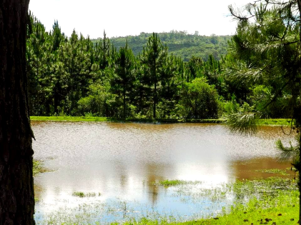 30.10.2018 - Empreendimentos turísticos no Monte Bonito - Sítio Panamar - Foto Divulgação