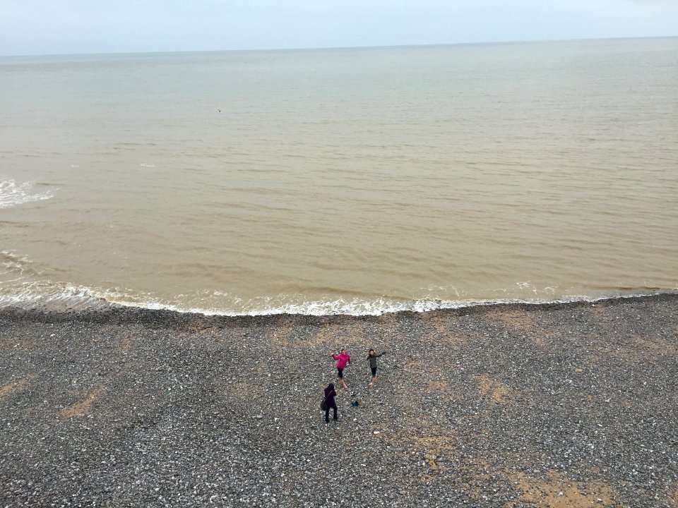 Dover Cliffs Beach from Above