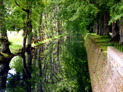 Canal Around Chenonceau