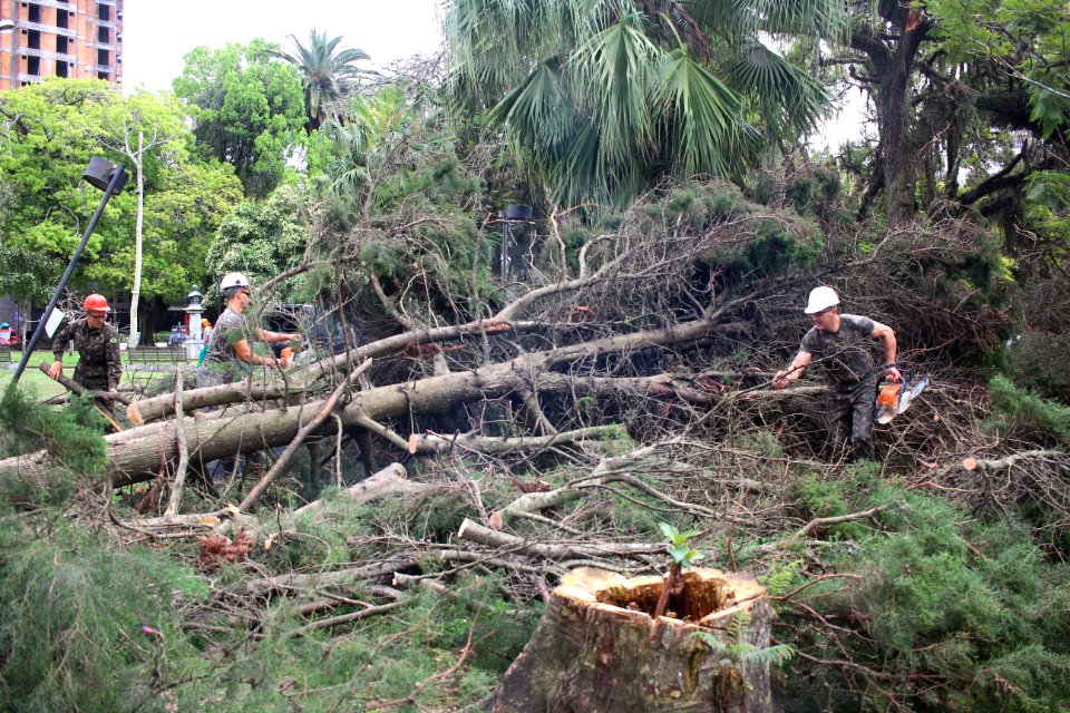 02.10.2018 - SQA - Temporal Praça Coronel Pedro Osório - Foto Marcel Avila