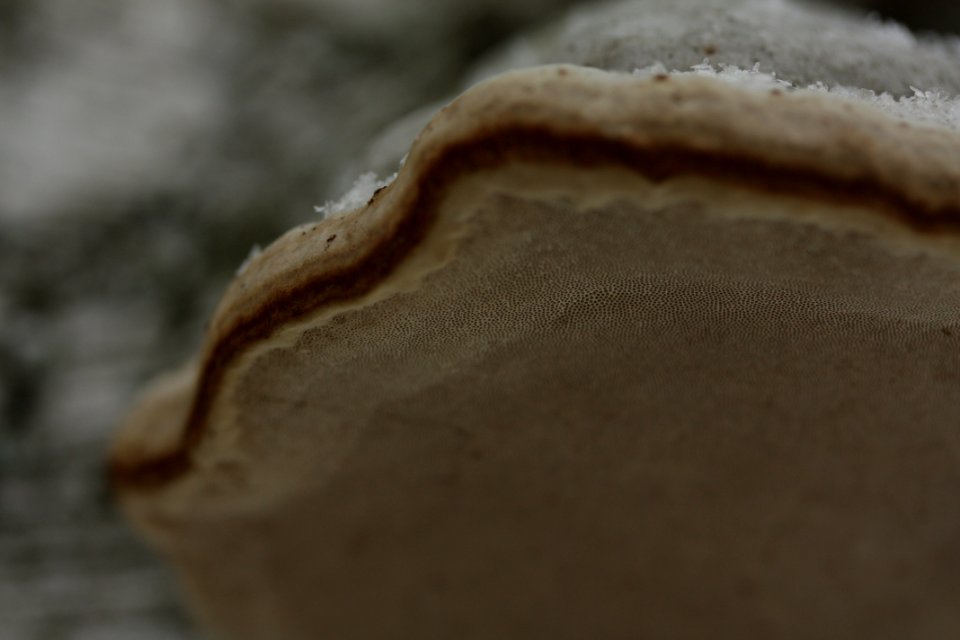 IMG 3744