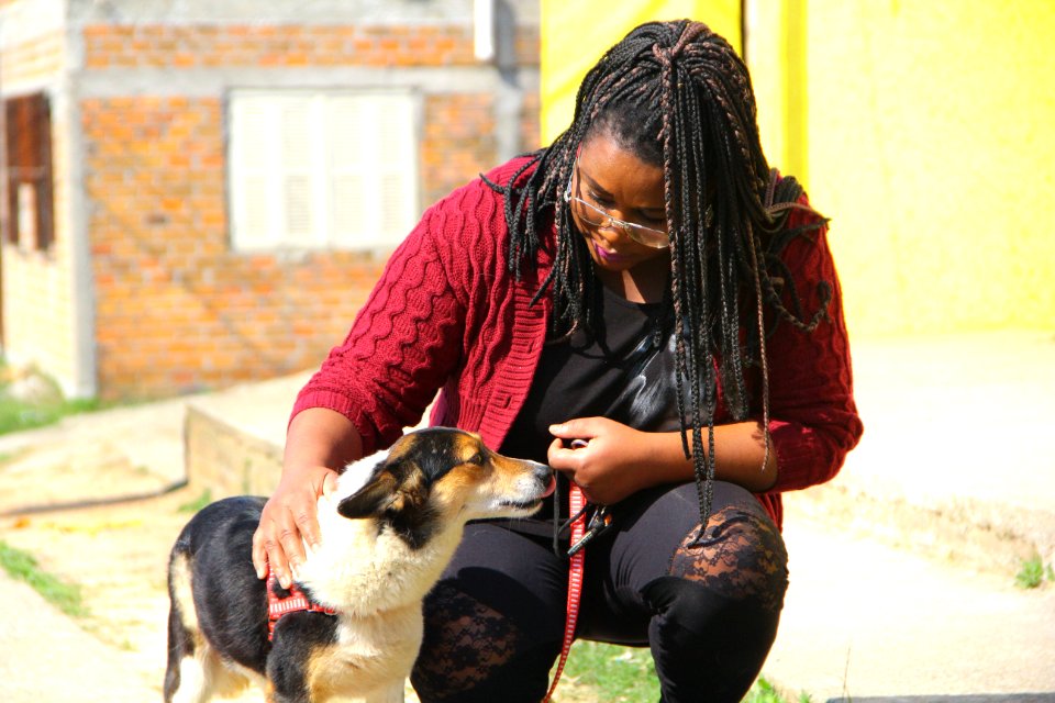 14.08.2018 - SMS - Doação de Cães - Fotos Marcel Avila