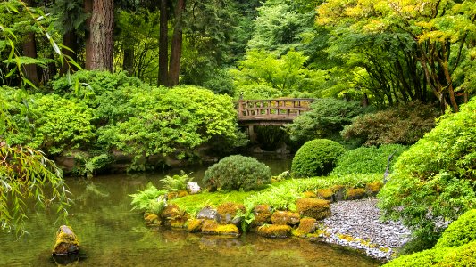 Portland Japanese Garden 7