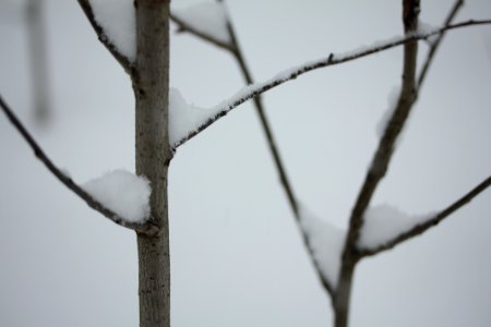IMG 4196